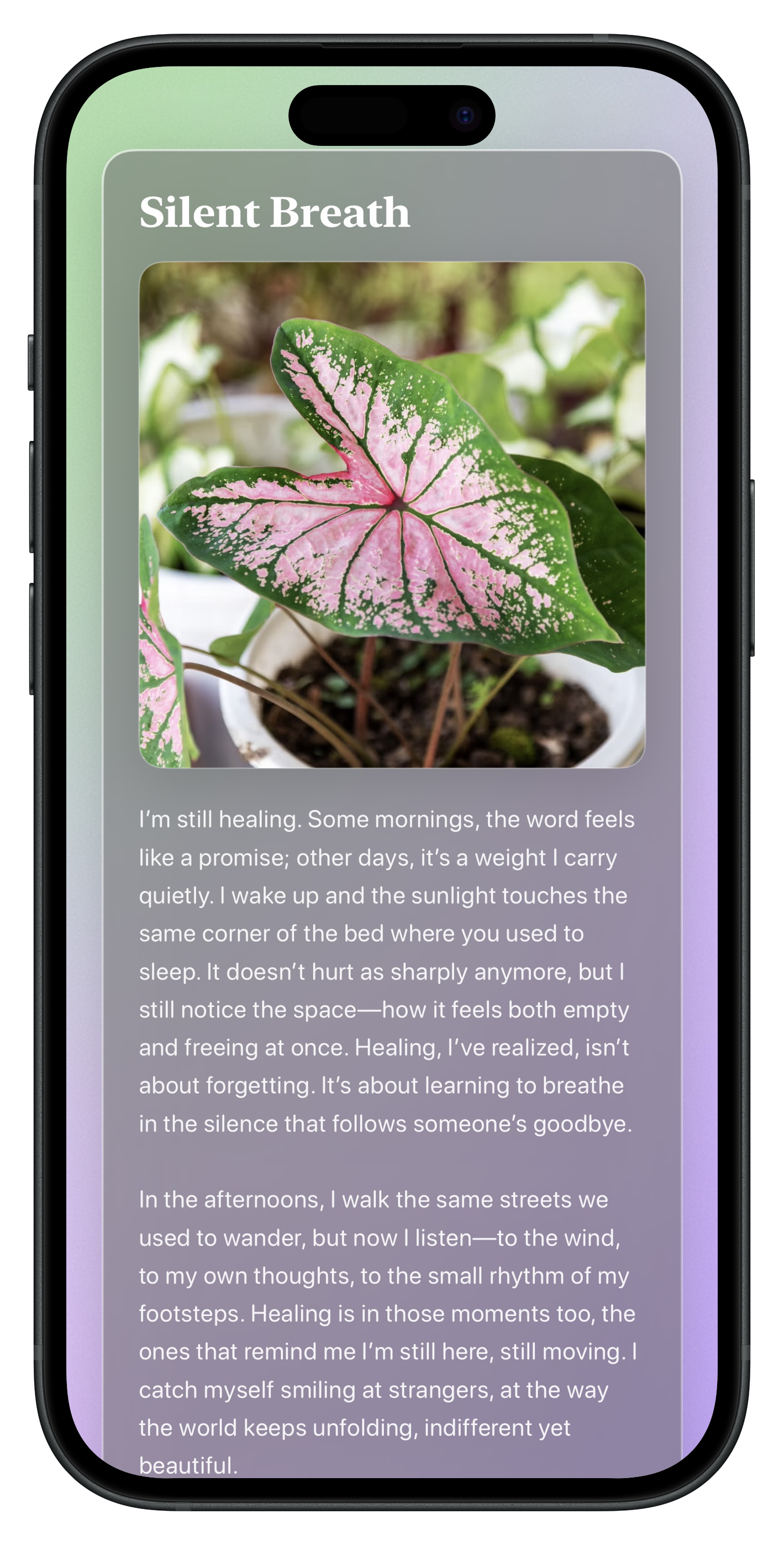 Expressive Showcase 1