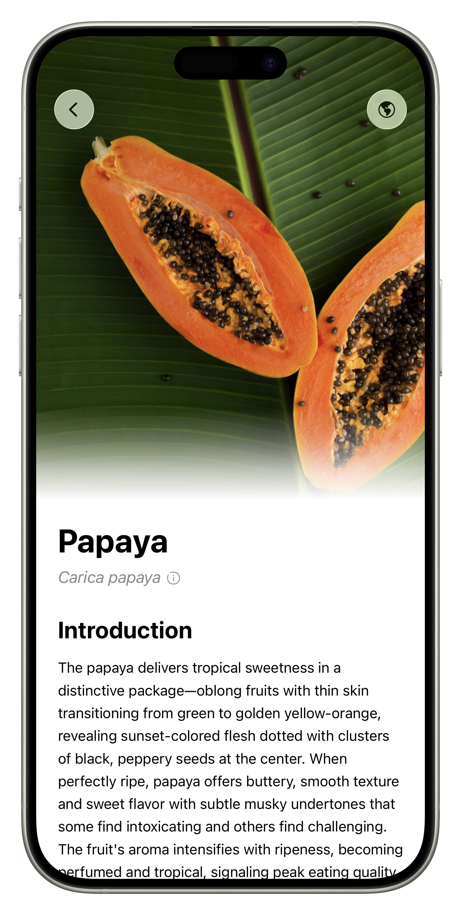 Fresh App Screenshot
