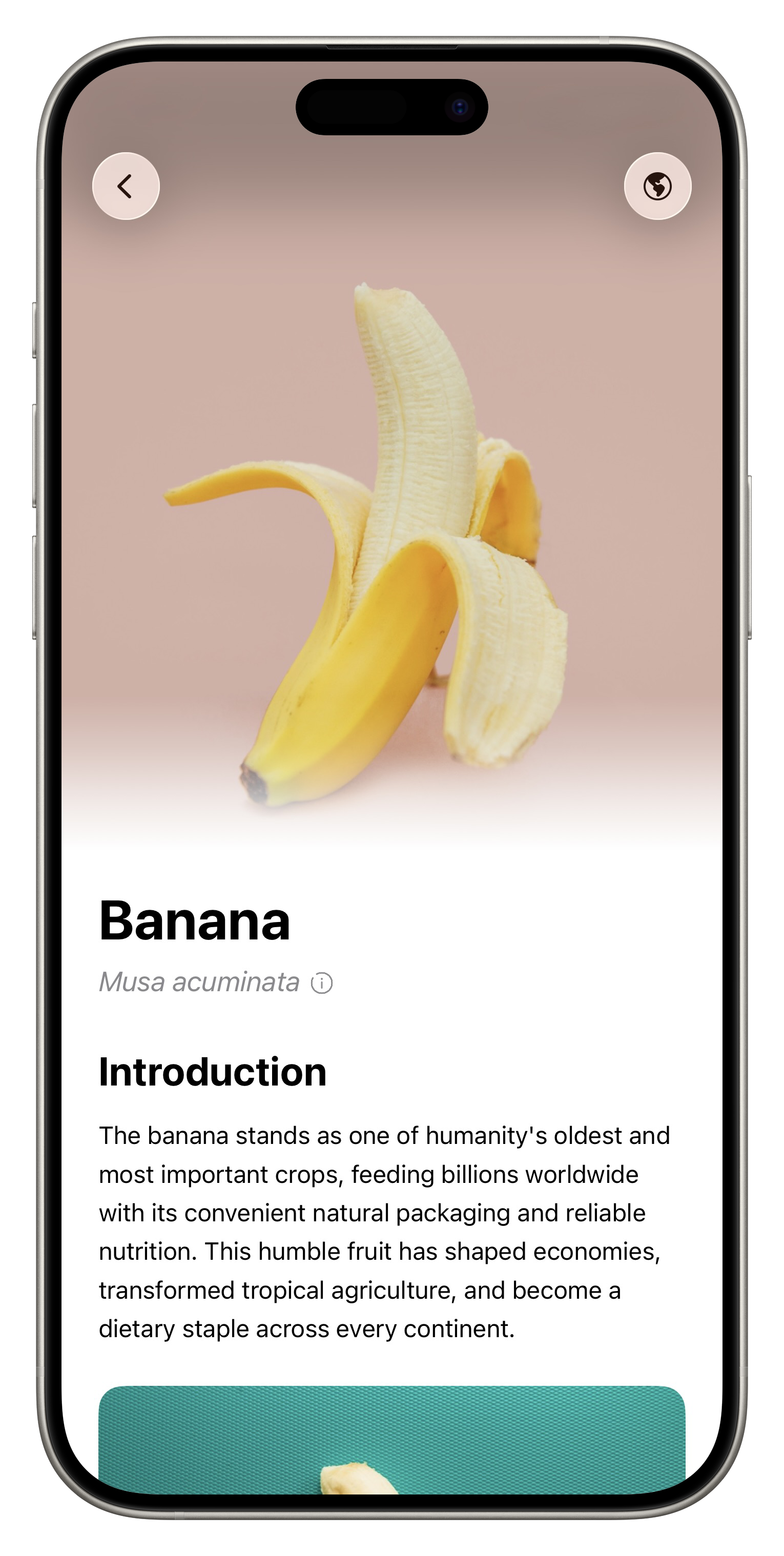 Fresh App Screenshot