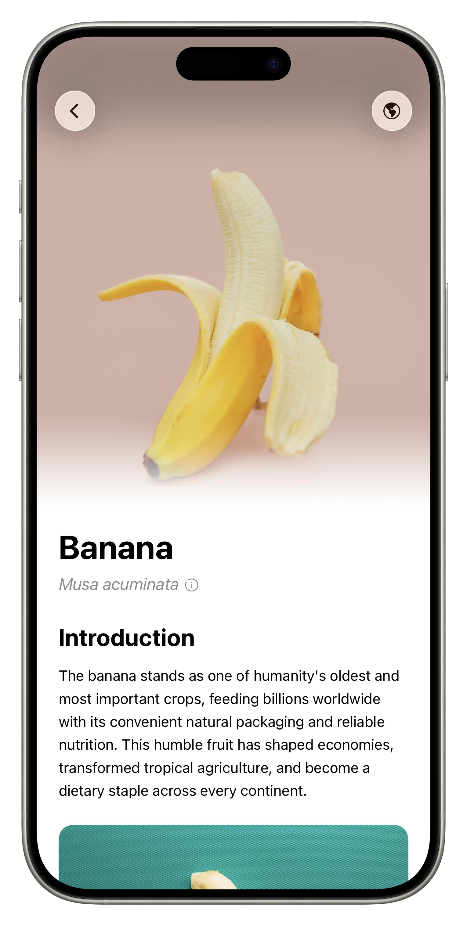 Fresh App Screenshot