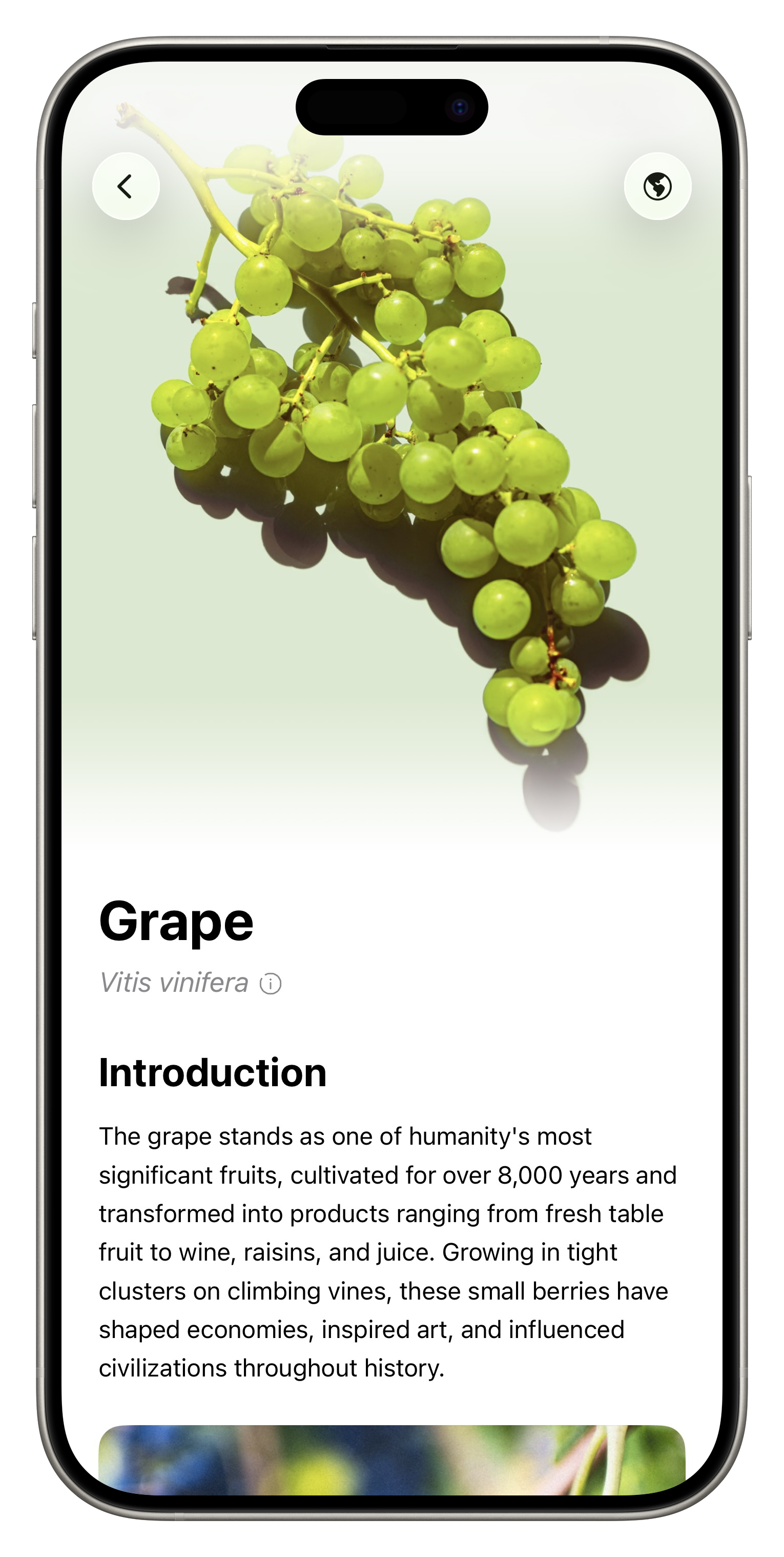 Fresh App Screenshot