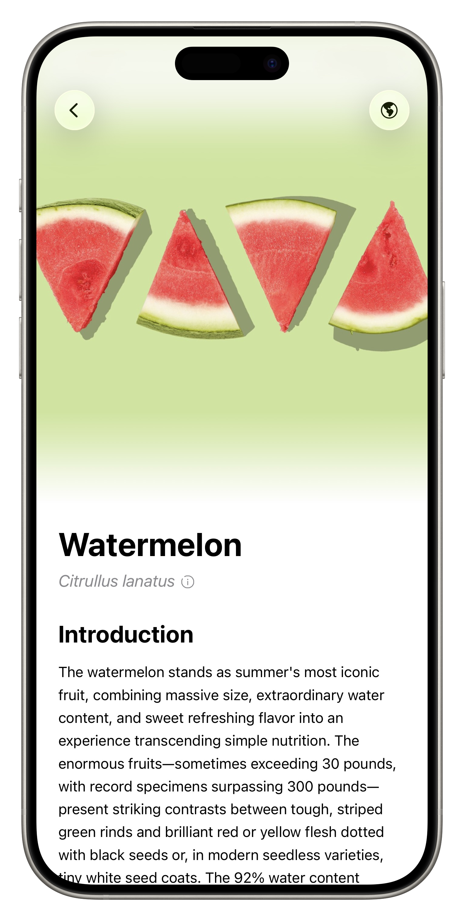 Fresh App Screenshot