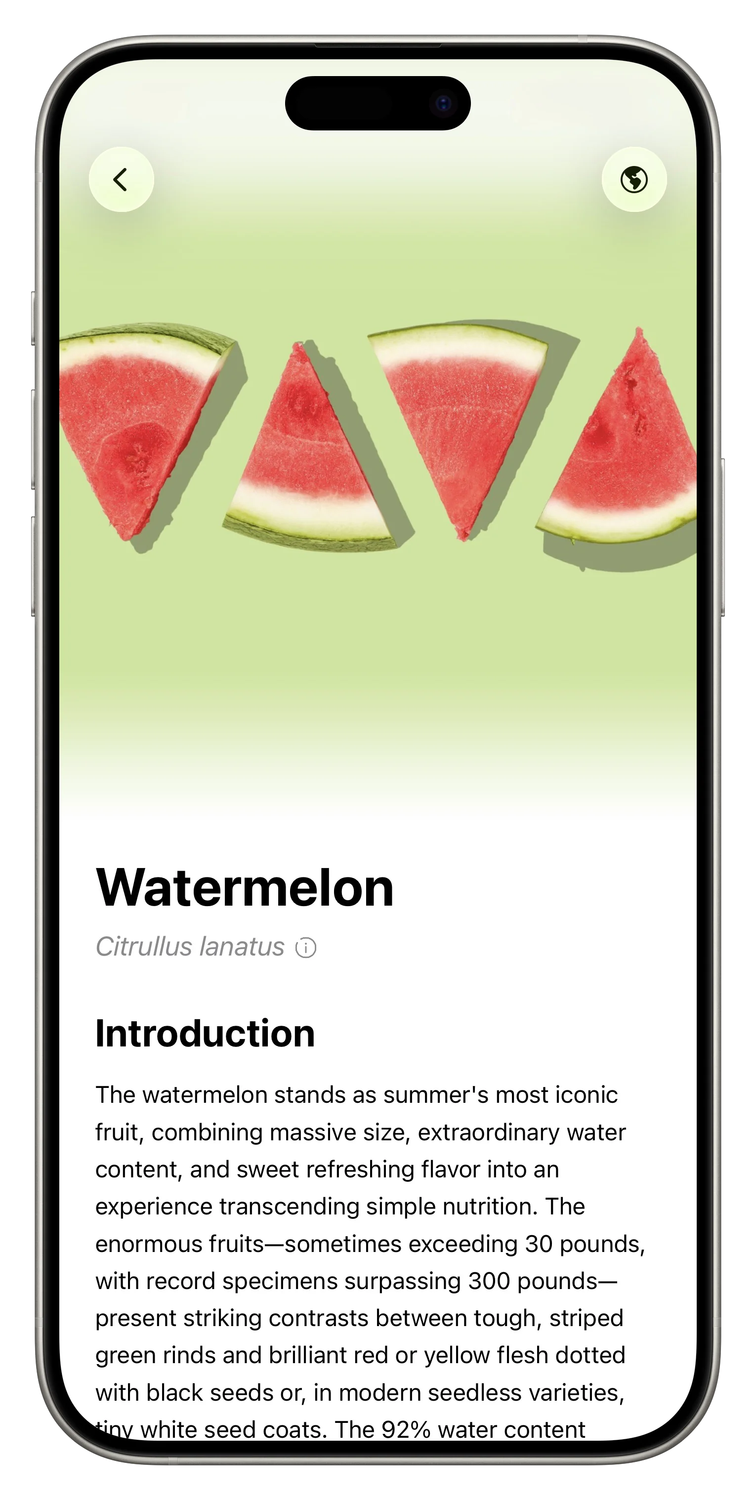 Fresh App Screenshot