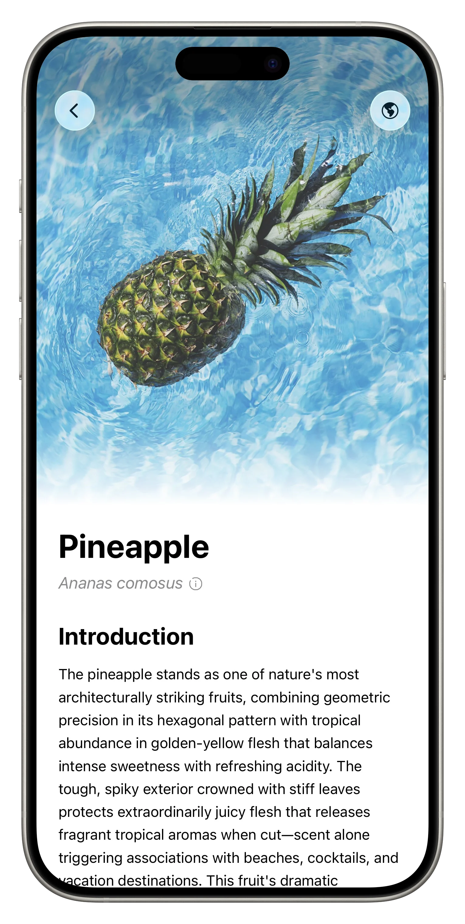 Fresh App Screenshot