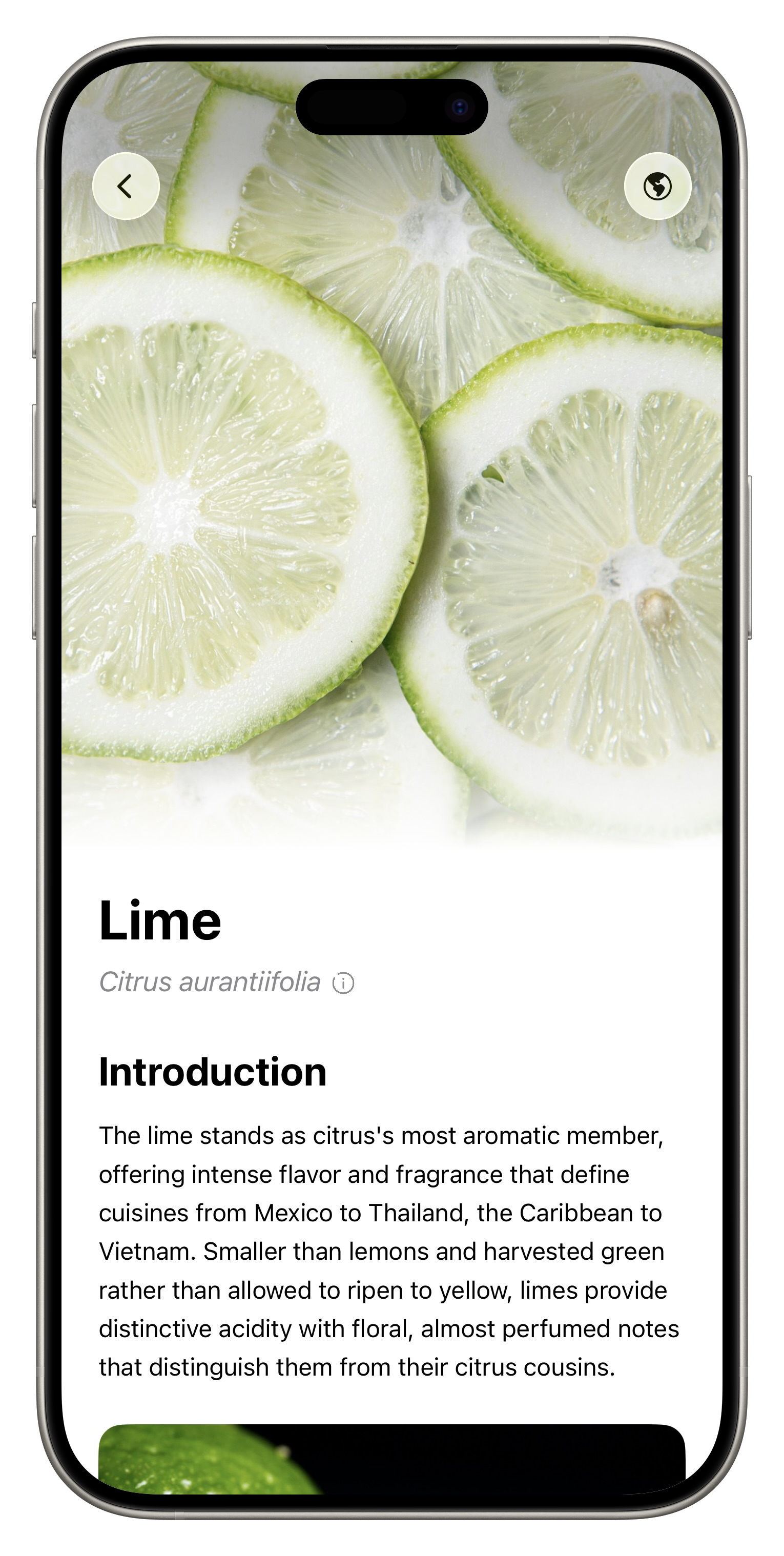 Fresh App Screenshot