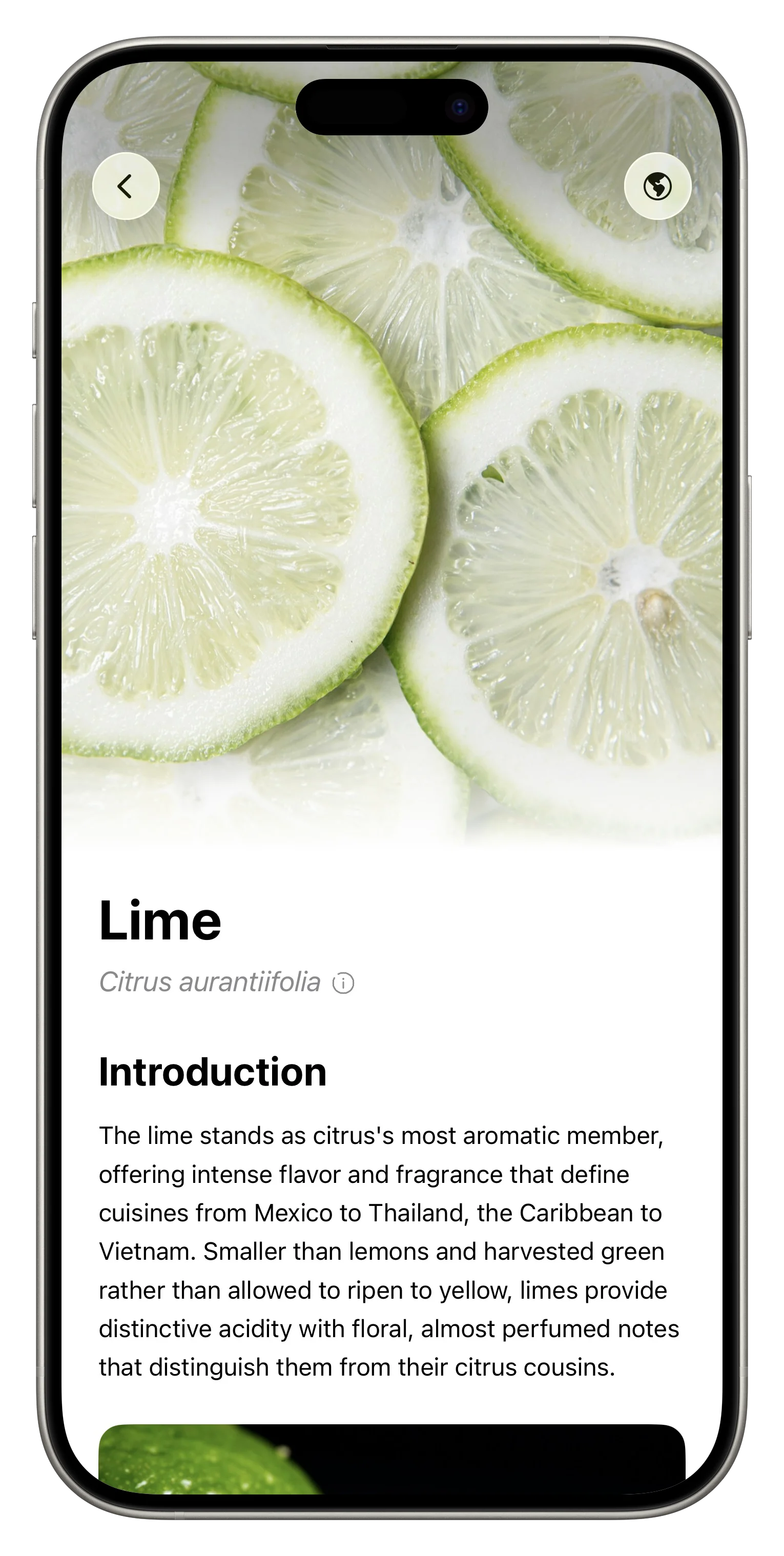 Fresh App Screenshot