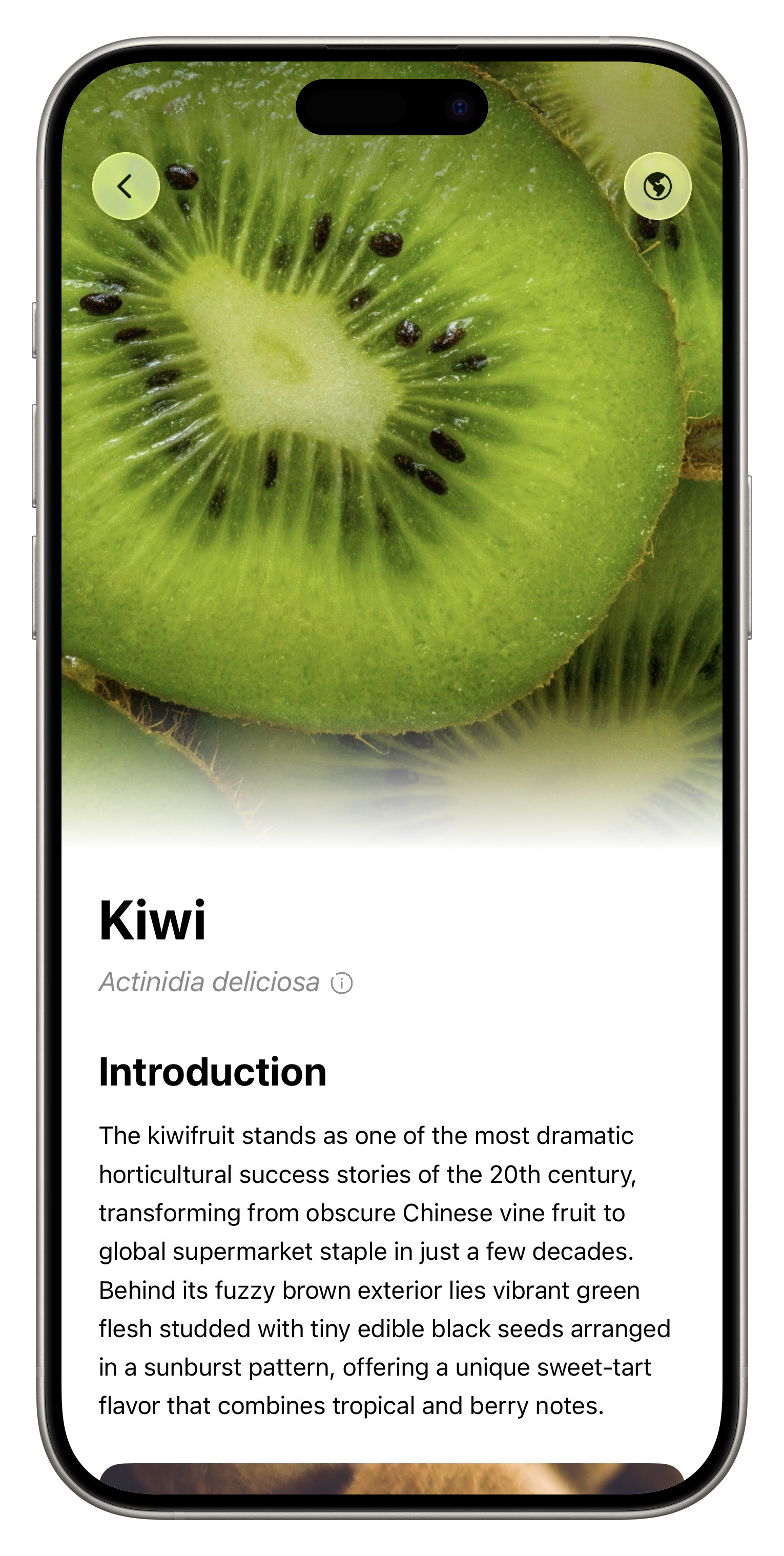 Fresh App Screenshot