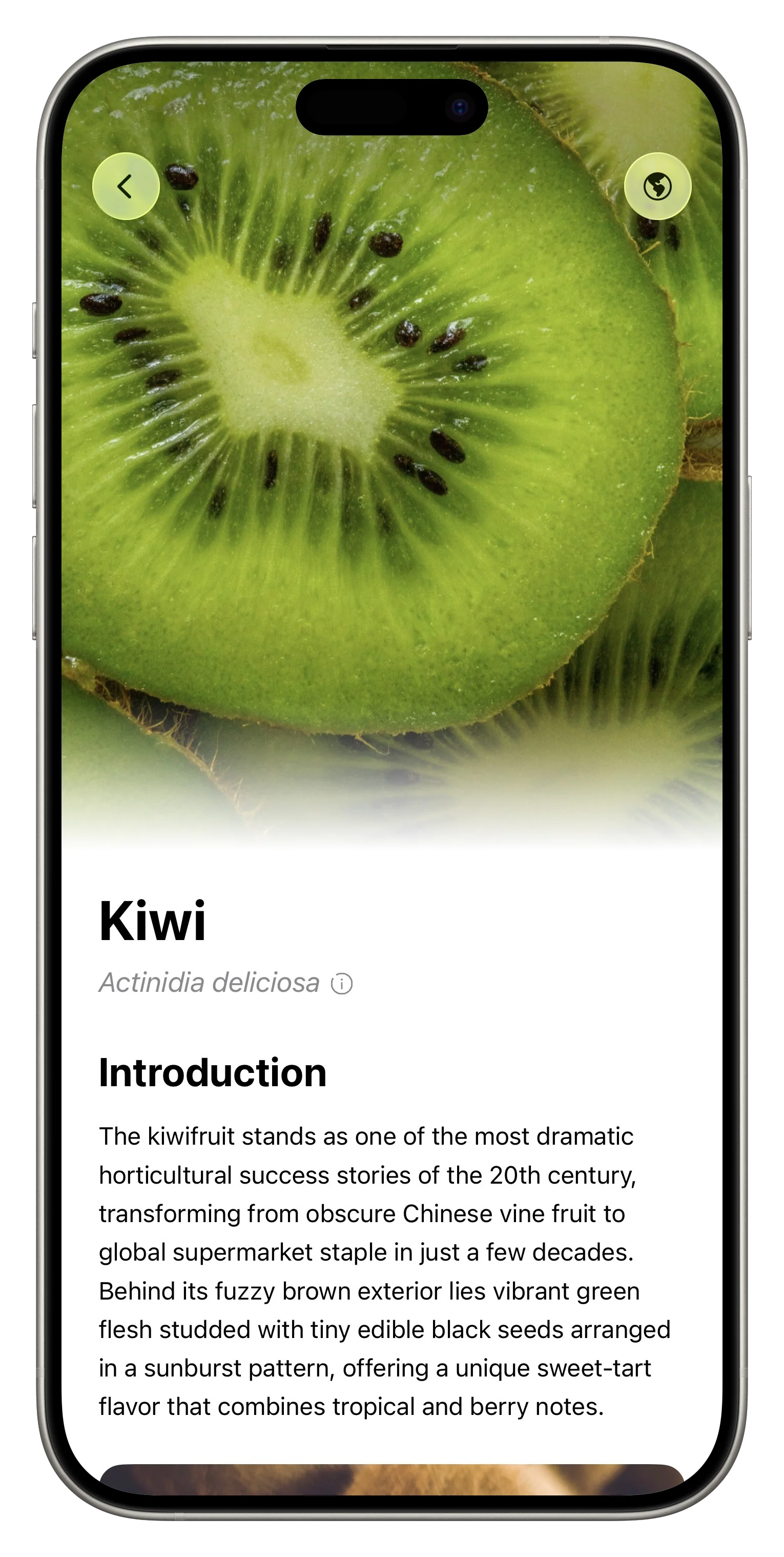 Fresh App Screenshot