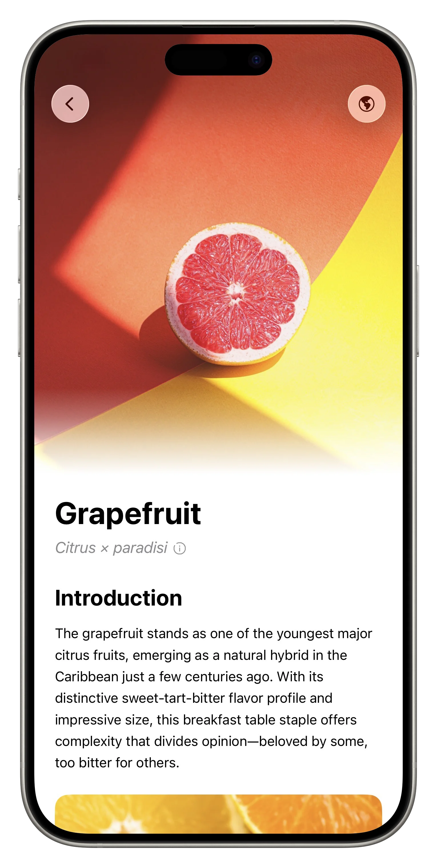 Fresh App Screenshot